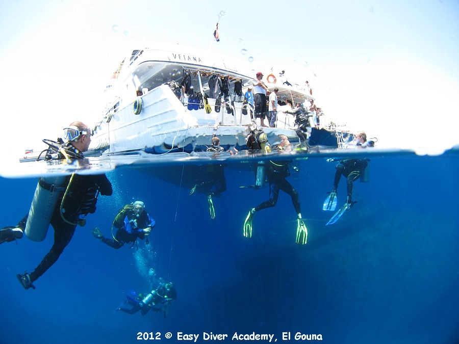 Easy Divers 025